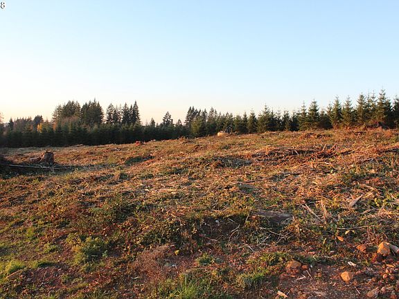 5th image of 0 NE 172nd St #Lot12