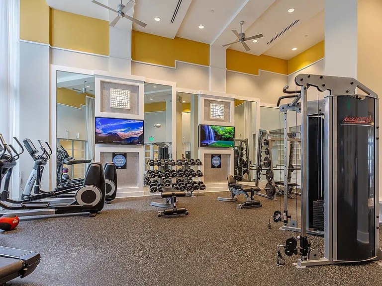 Cardio Equipment