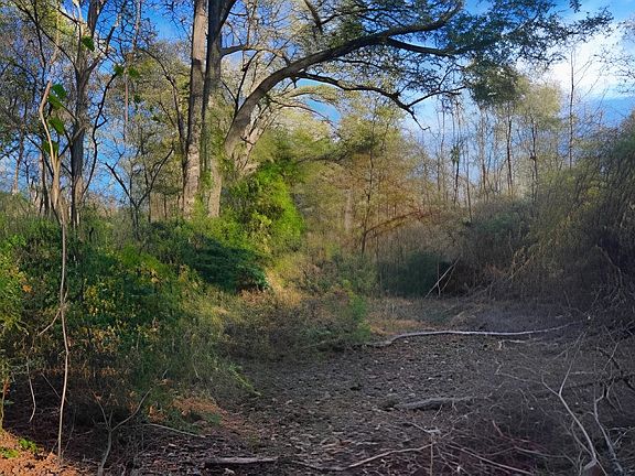 2nd image of County Road 317 S