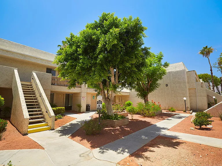 Palm Canyon Terrace — Photo 12