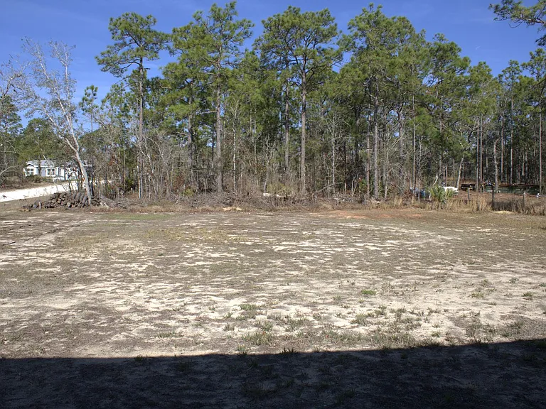 15433 Scaup Duck Ave — Photo 22