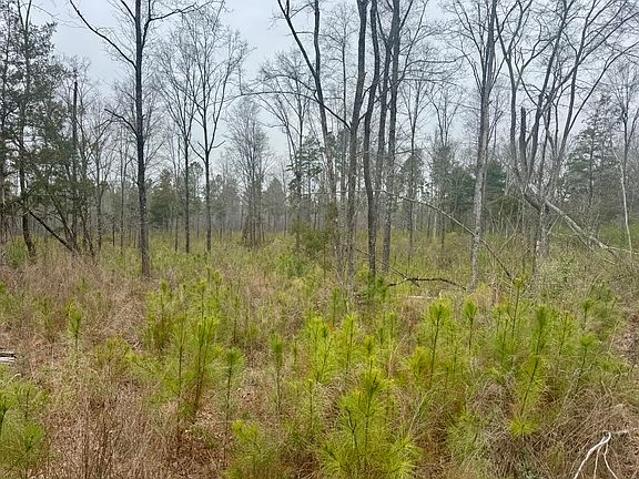 5th image of A3 Camp Creek Rd Parcel A3