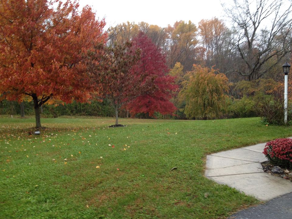 2nd image of 176 Starr Rd