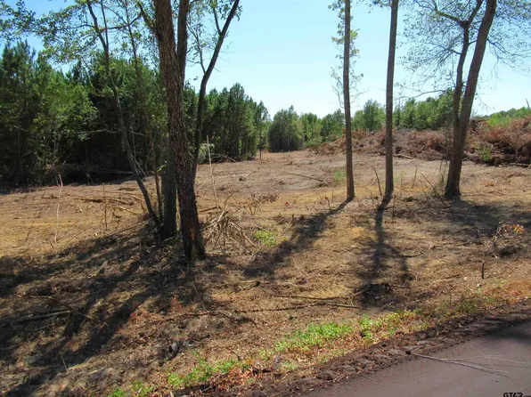 102 Ac Cres #438, Henderson, TX 75654