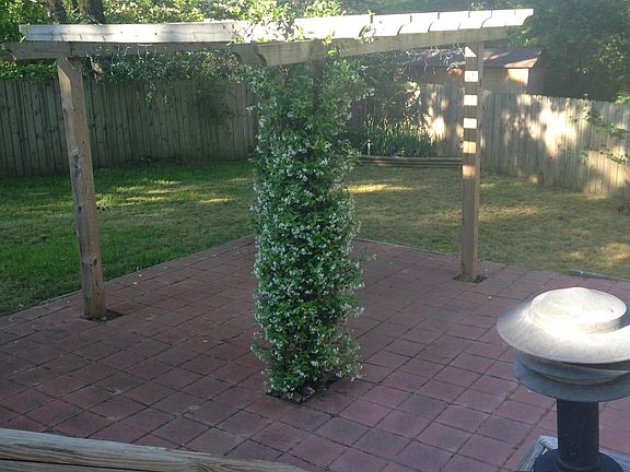 backyard pergola
