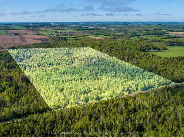 LOT 3 Black School Rd, Kawartha Lakes, ON K0M 2T0