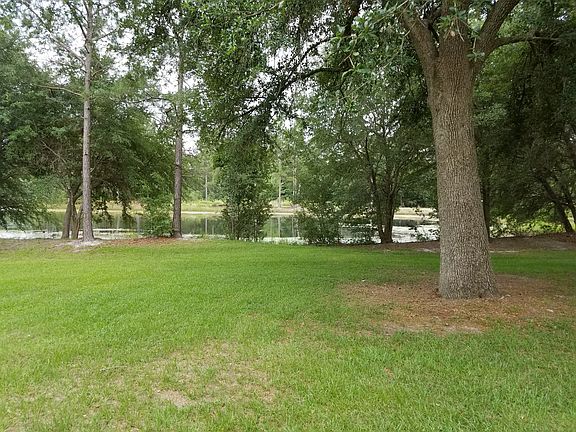 Pond view from porch steps