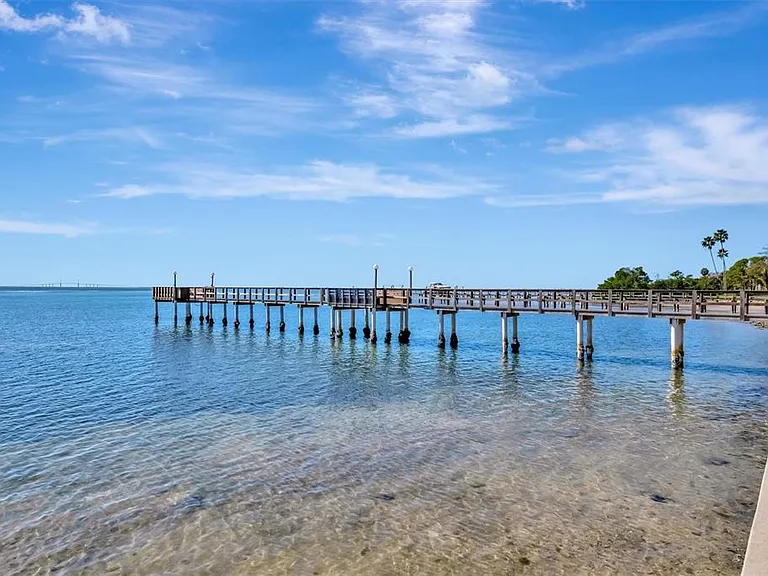 650 Pinellas Point Dr S #205 — Photo 36