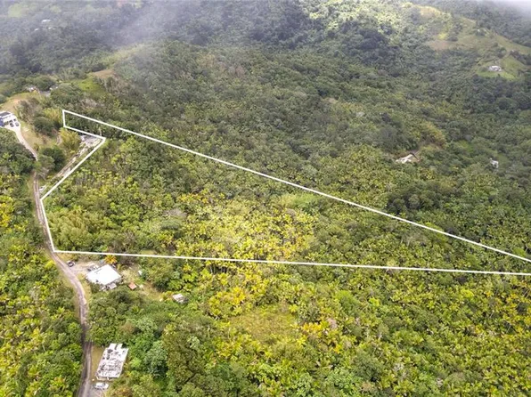 Km 14.7 Carr #179, Guayama, PR 00784