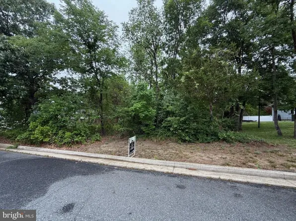 Charlotte Ave, Federalsburg, MD 21632