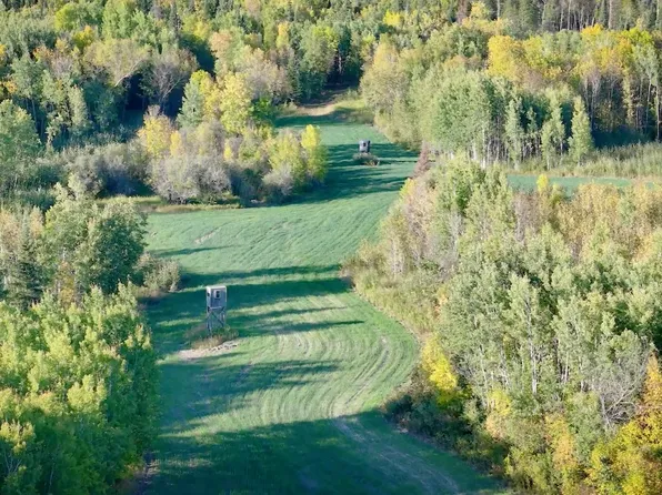 Mud Lake Rd, Bagley, MN 56621