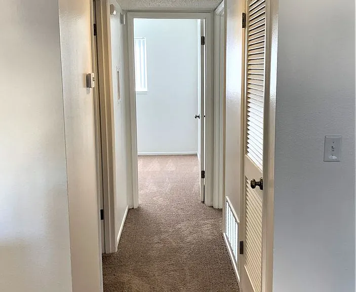 Shannon South Apartments — Photo 20