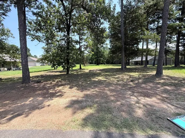 45 South Dr #58R, Higden, AR 72067
