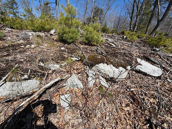 5th image of M10 L39B Christian Hill Road