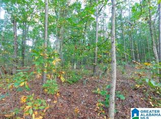 16 Williams Rd W #48, Wedowee, AL 36278