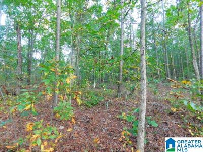 16 Williams Rd W #48, Wedowee, AL, 36278