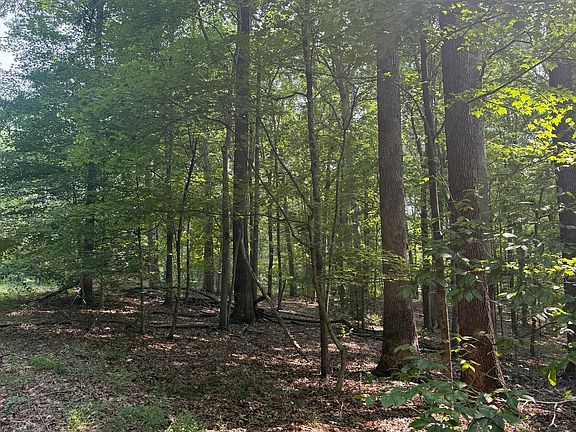 5th image of 9450 S Chapel Hill Rd