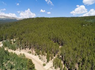 3149 Nugget Rd, Fairplay, CO 80440