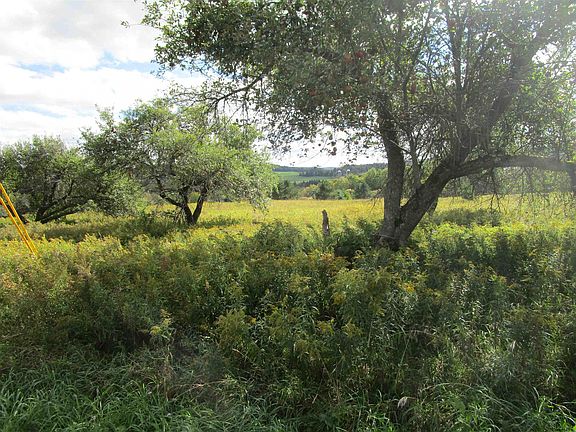 3rd image of 0 CEMETERY Road