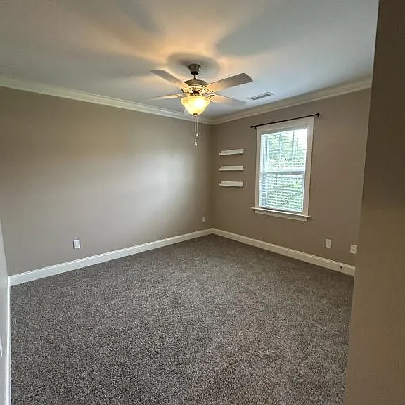 2812 Berry Patch Ct — Photo 14