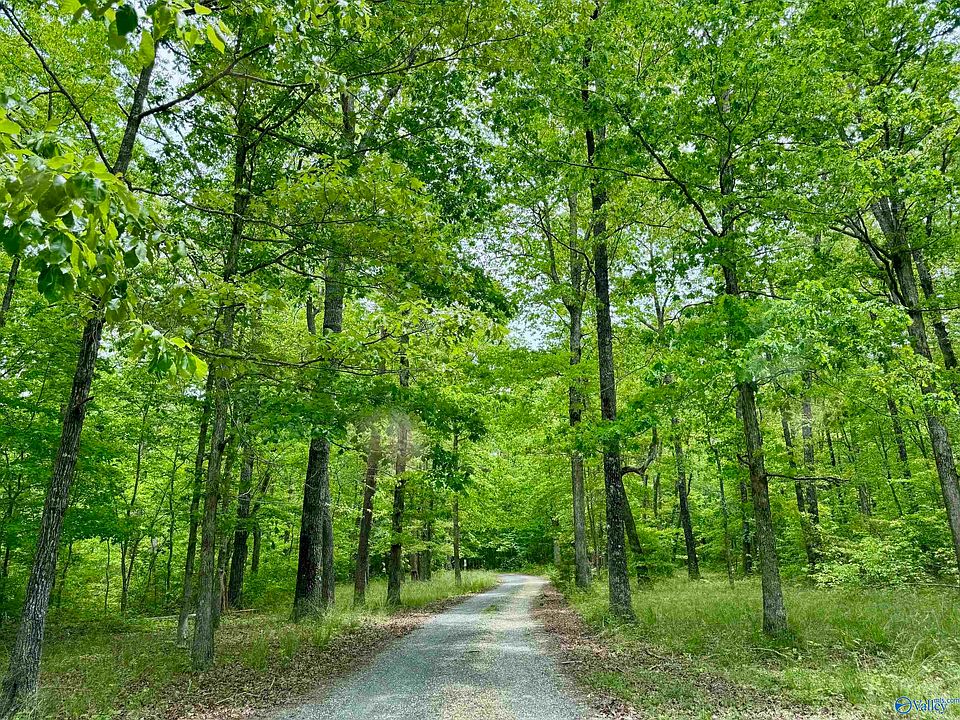 1st image of LOT 40 Road 9050