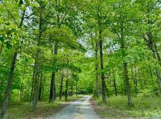LOT 40 Road 9050, Mentone, AL 35984
