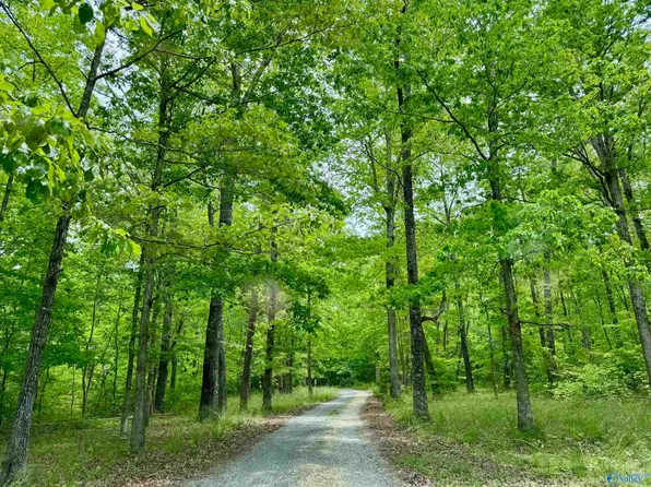 LOT 40 Road 9050, Mentone, AL 35984