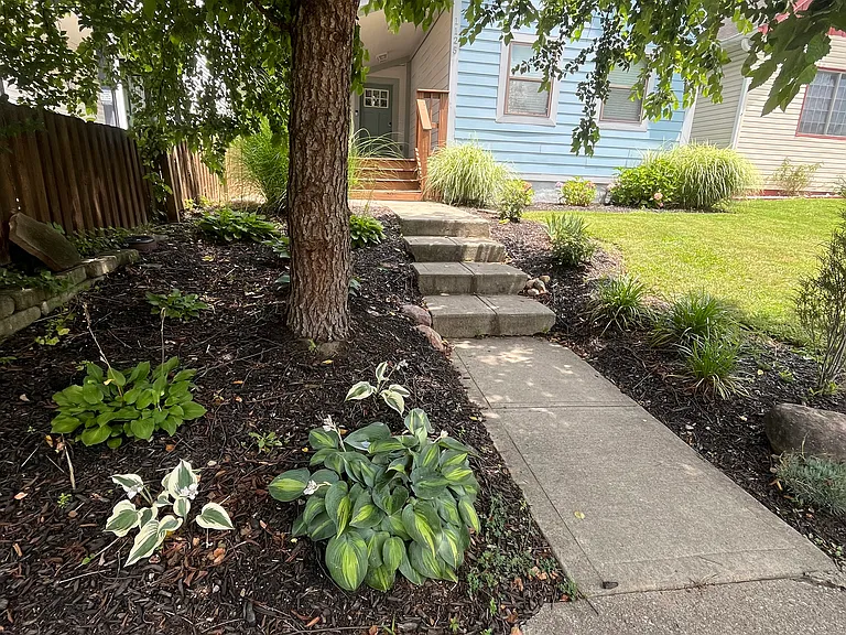 1125 Evison St — Photo 3
