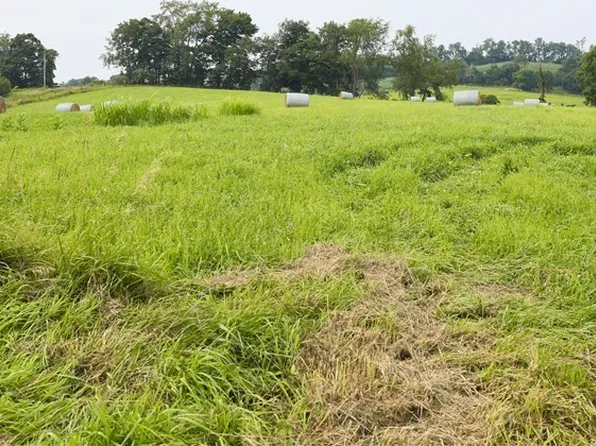 Township Road 350, Warsaw, OH 43844