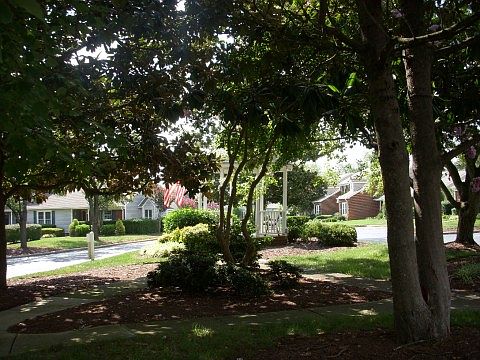 A lovely common area to relax