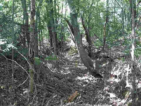 2nd image of 12256 County Road 2127 N