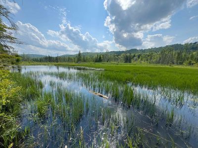 00 Scotch Hollow Road, Newbury, VT, 05051