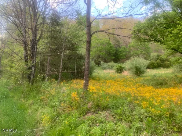 Osborne Ridge Rd, Dungannon, VA 24245