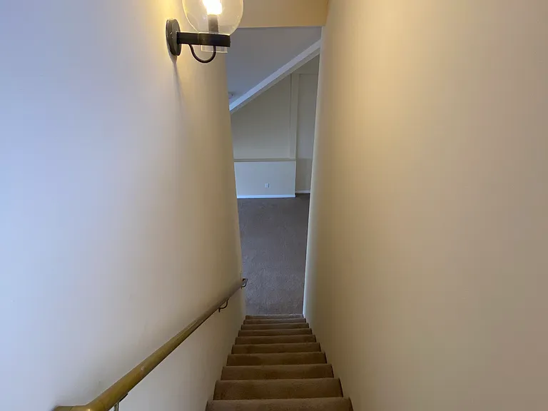 36 Abbott Street — Photo 30