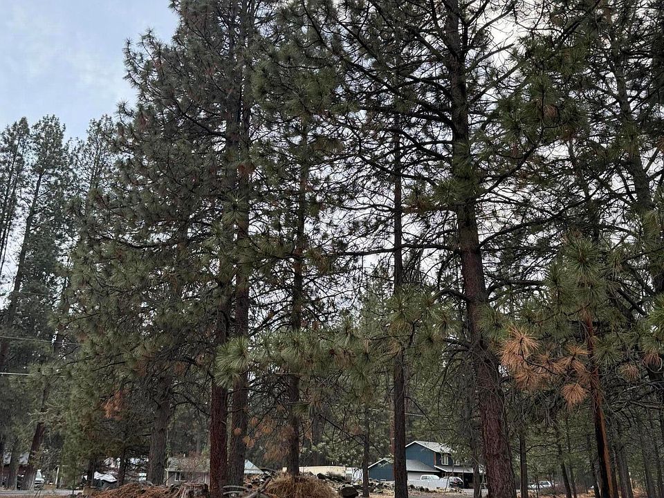 2nd image of 19124 Baker Rd