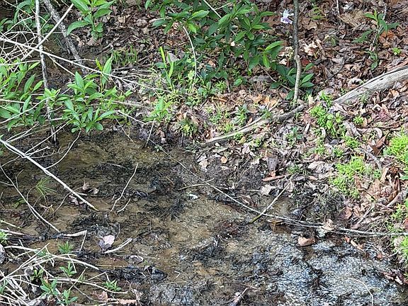 2nd image of Lambsburg Rd