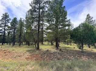 5206 STARLIGHT Drive #166, Happy Jack, AZ 86024