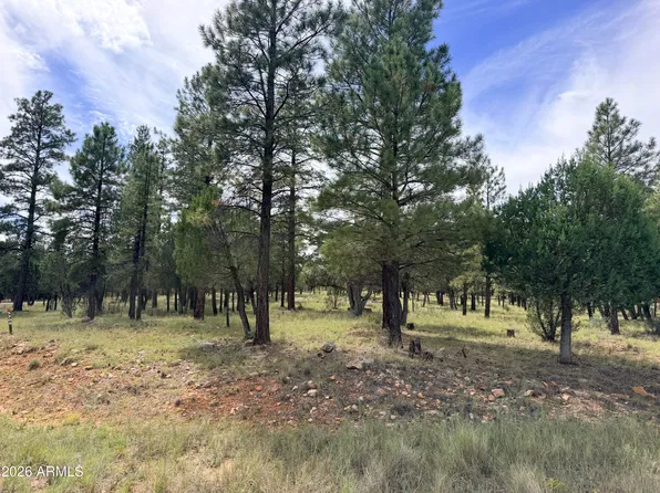 5206 STARLIGHT Drive #166, Happy Jack, AZ 86024