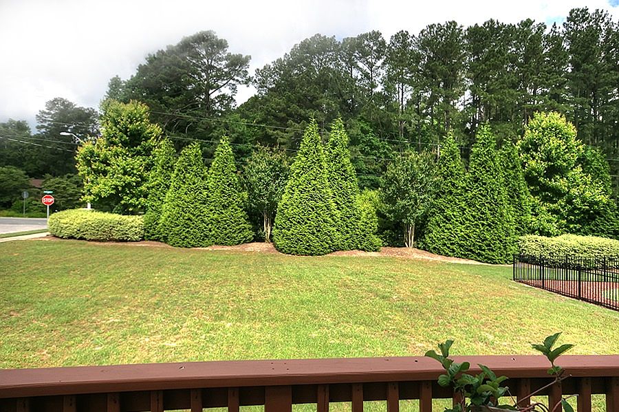 Landscaped Back Yard