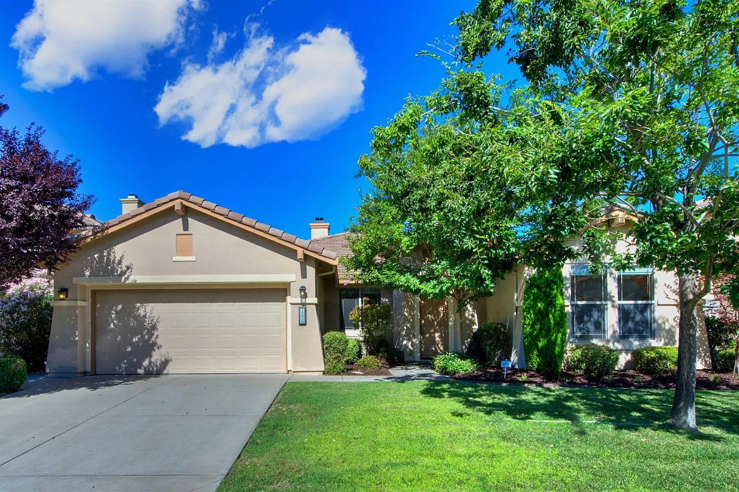 12036 Mandolin Way photo 1