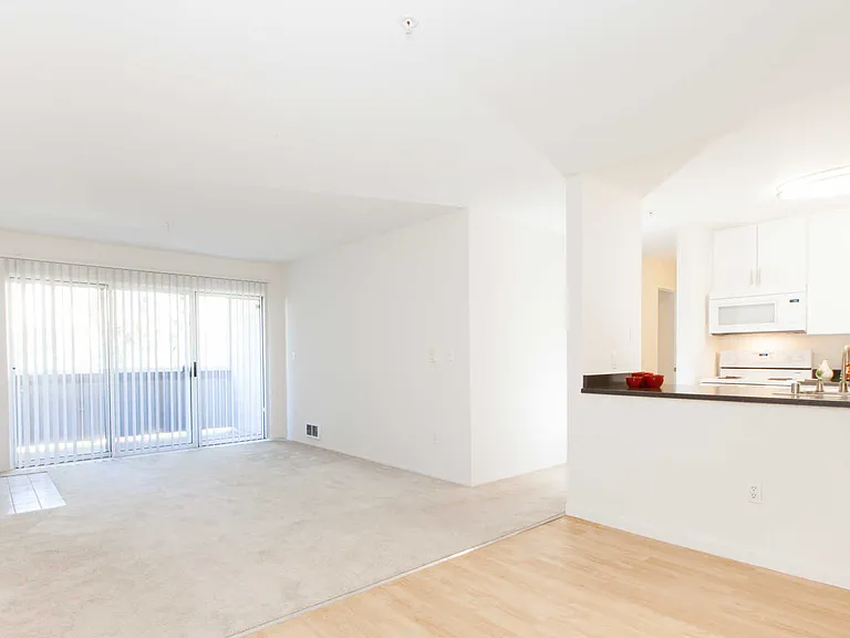 Kitchen and Living Room with Balcony