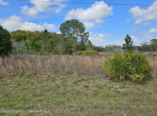 33111 Square Stone St, Webster, FL 33597
