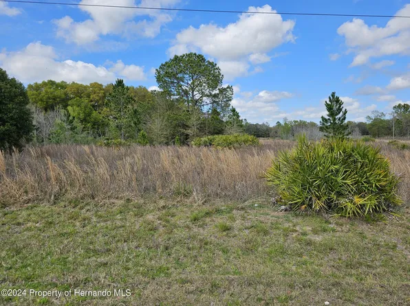 33111 Square Stone St, Webster, FL 33597