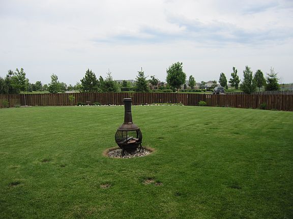 backyard facing park