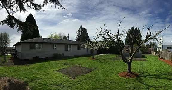 East Corner of  Backyard