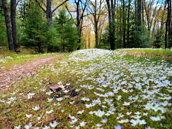 614 Graystones Jeras Rd Lot R-15, Albrightsville, PA 18210