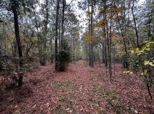 Pioneer Rd LOT WP001, Williston, SC 29853