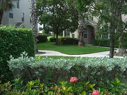 COurtyard at front door