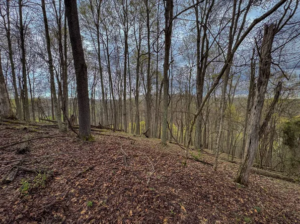 0 Little Creek Rd, Creston, WV 26141