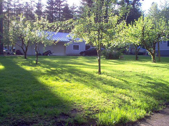 across front yard at shop